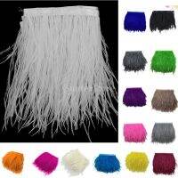 Multicolor Ostrich Feather Fringe Trim for DIY CraftsMillinery 10-15cm