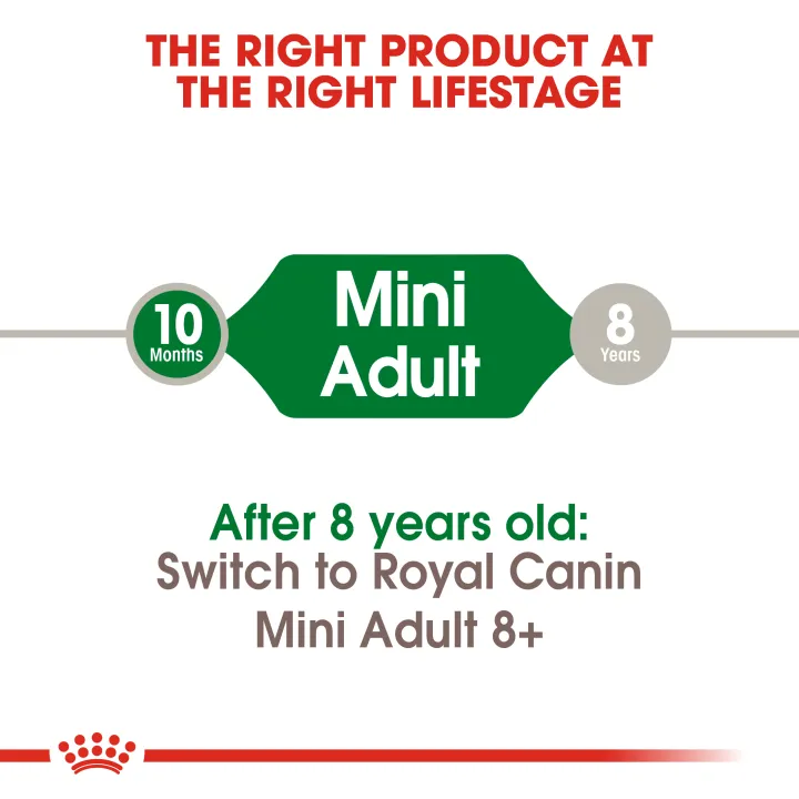 หมดอายุ14-11-24-royal-canin-mini-adult-8-kg-อาหารสุนัขโตพันธุ์เล็ก-คุมรูปร่าง-บำรุงขน-เม็ดเล็ก