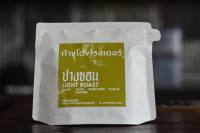 ก๋างโต้งโรสเตอร์ เมล็ดกาแฟดอยปางขอน คั่วอ่อน มี 3 ขนาดให้เลือก