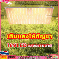 [GIO Store] ไฟปลูกต้นไม้ led หลอดไฟปลูกพืช ไฟปลูกพืช เต็มสเปกตรัม แสงอาทิตย์ ไฟปลุกต้นไม้ ไฟช่วยต้นไม้ตัวเร็ว การเจริญเติมโตแบบ 24 ชม ไฟต้นไม้ ไฟเลี