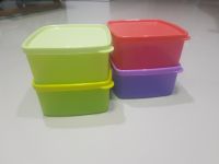 Tupperware เหมันต์เล็ก (4) ลายเกร็ดหิมะ