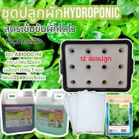 ปุ๋ย AB ไฮโดรโปนิกส์ ใหม่ !!! Super GroW-โตเร็ว ขนาด 1 ลิตร 2 แกลลอน A+B แถมฟรีกระบะ โฟม เมล็ด ล่าสุด