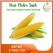 OGF - Bắp Mỹ 2 trái túi - Giao nhanh TPHCM