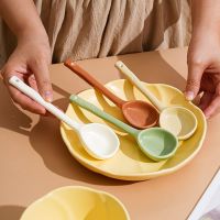 Ceramic soup spoon Tea Spoon Creative Coffee Spoon Ice Cream Dessert Spoon Tableware Set R015 Serving Utensils