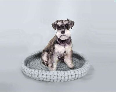 [COD] Cross-border new kennel coarse wool pet bed cat basket dog manufacturer