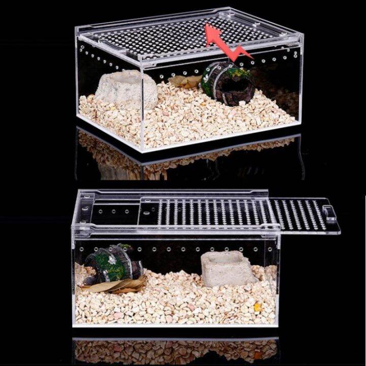 Transparent Acrylic Reptile Breeding Spider Lizard Amphibian Terrarium ...