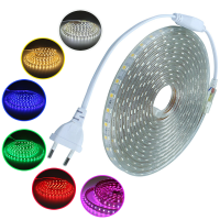 AC 220V EU ปลั๊กแถบ LED SMD 5050 60 LEDS/M IP65 กันน้ำสวนบ้านห้องนั่งเล่นห้องครัวยืดหยุ่นเชือกเทปโคมไฟ-asferttyre