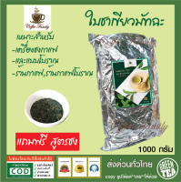 ชาเขียวมัทฉะ พรีเมี่ยมแท้ พร้อมสูตรชง Matcha Green Tea (1000 กรัม. ถุงฟอยล์) สำหรับเครื่องชง ชาเขียวมัทฉะ ชาเขียว by Coffee family ไม่ลองถือว่าพลาด!