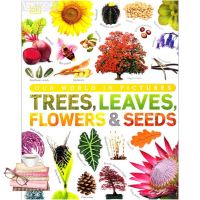 Good quality หนังสือ OUR WORLD IN PICTURES:TREES, LEAVES, FLOWERS &amp; SEEDS DORLING KINDERSLEY