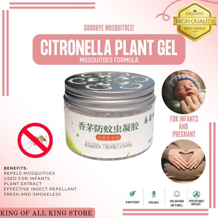 TOP SELLING AND ORIGINAL Citronella Plant Mosquitoes Gel formula for