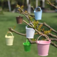 10PCS Mini Metal Bucket Candy Box Wedding Decoration Favor Bridal Baby Shower Bachelorette Party Desktop Potted Plants Pot-S Storage Boxes