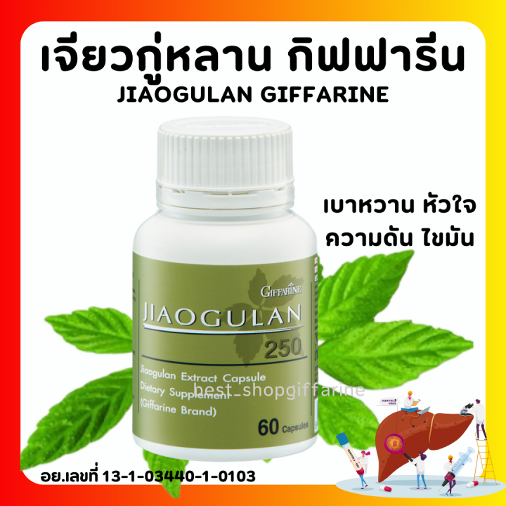 ส่งฟรี-เจียวกู่หลาน-กิฟฟารีน-เจียวกู่หลานแคปซูล-jiaogulan-giffarine-สารสกัดจากเจียวกู่หลาน-ชนิดแคปซูล