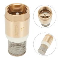 Brass Foot BSP Internal Thread Valve DN25 Check  Stainless Steel Suction Basket With Steel Strainer Filter For Water Pump