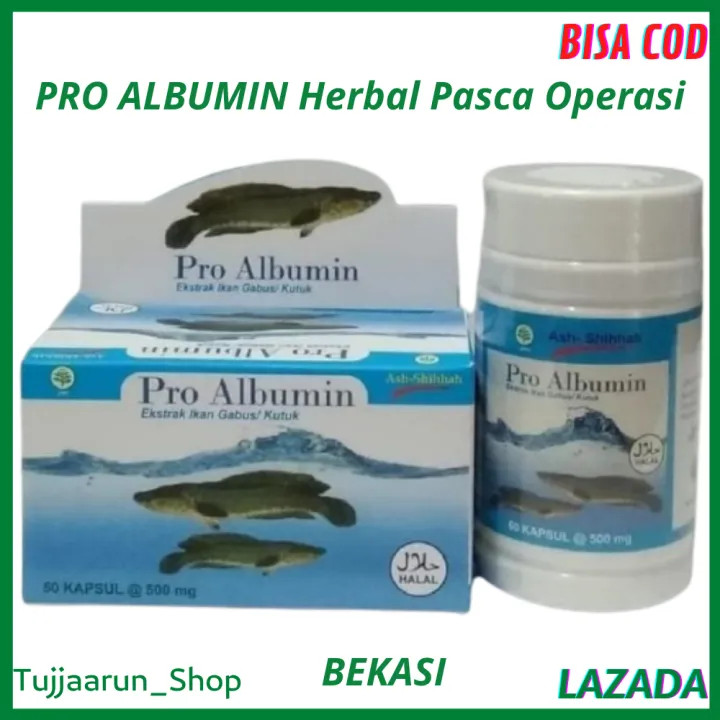 Paket 3 Botol Pro Albumin 100 Ekstrak Ikan Gabus Kutuk Kapsul