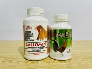 COMBO GALLOMIN B15-B12 - Thuố.c nuôi Mỹ cho gà tơ, gà chế độ đá