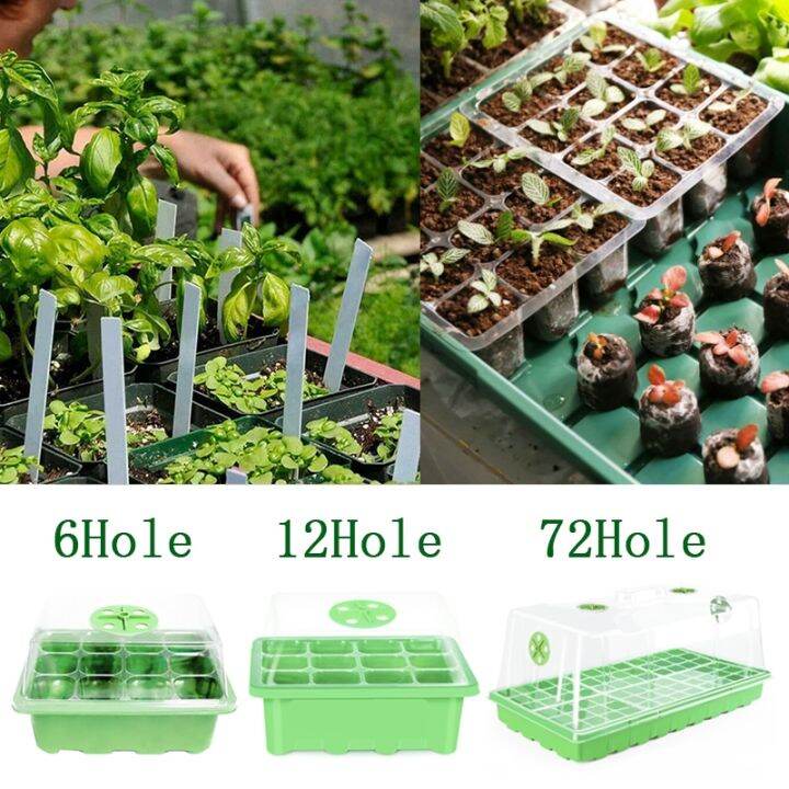 6-12-hole-seedling-box-seed-seedling-tray-bud-seedling-board-plant-seed-promoter-nursery-garden-growth-box-tray