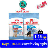 Royal canin Medium &amp; Maxi Puppy อาหารสำหรับลูกสุนัข พันธู์กลางและใหญ่ รวมทุกขนาด &amp;gt;ขนาด1-15kg.