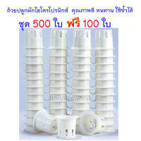 ถ้วยปลูกผักไฮโดรโปรนิกส์ ถ้วยปลูกผัก  ( 500ใบ ฟรี 100ใบ)  ขายถูก  ส่งฟรี| กระถางปลูกผักสลัด ถ้วยปลูกผักไฮโดรฯ  หนา เหนียว ทนทาน ใช้ซ้ำได้