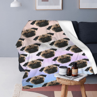 2023 newxzx blanket- Pugs And Kisses Quilt, Big Dark Eyes Of Pug Are Adorable Quilt Blanket Multiple styles （40x60inch/50×60inch/60×80inch） 48