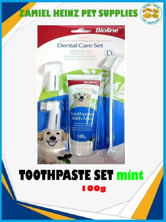 Bioline Dental Care Set 100g (Mint Flavor) Lazada PH