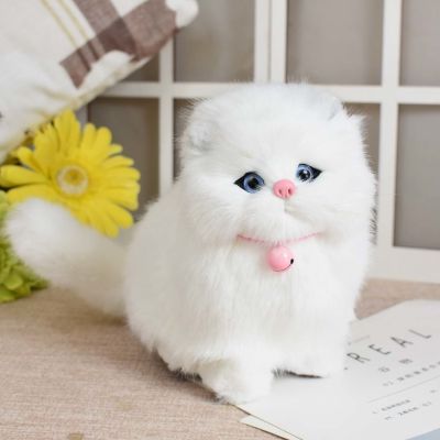 Will call simulation the kitten doll plush toys fair young lady animal model of childrens cognitive birthday gift