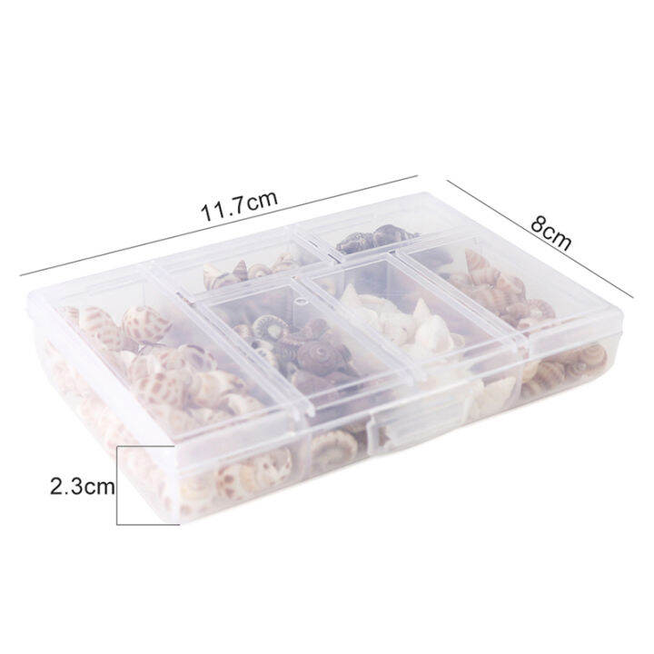 ck-about-100pcs-box-natural-conch-shells-aquarium-landscape-seashells-crafts-decor