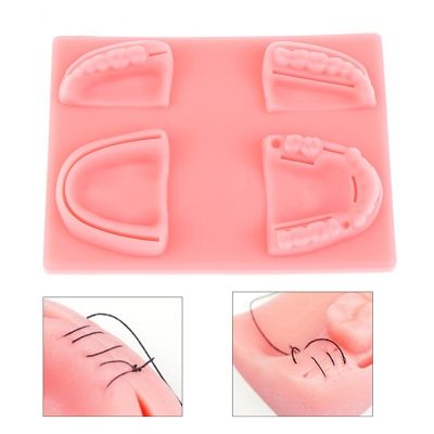 Dental Oral Gum suture training Medical Silicone periodontitis suture model