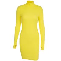 COD WEANIA Women Long Sleeve High Neck Slim Dress Plain Casual Midi Dress