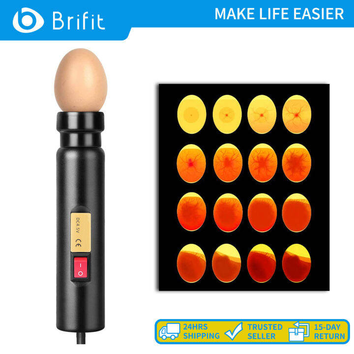 Brifit LED Egg Lighter High Intensity Lumen Ultra Cool Egg Candle Light