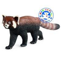 Munich Play - โมเดลสัตว์ Red Panda แพนด้าแดง ขนาด 19.00 CM (จากหาดใหญ่)