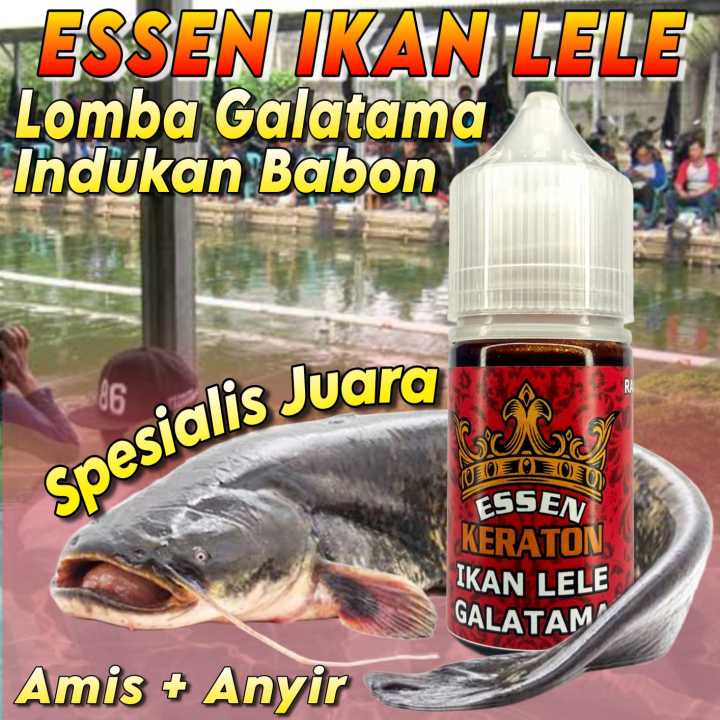 Essen Khusus Ikan Lele Galatama Indukan Paling Ampuh Essen Khusus Ikan