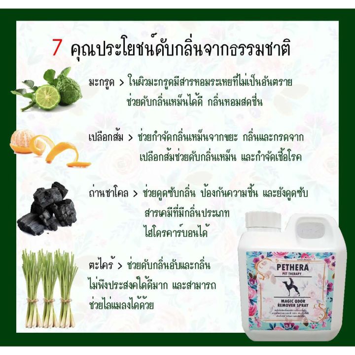 ส่งฟรี-สเปรย์ฆ่าเชื้อแบคทีเรีย-สเปรย์ดับกลิ่นฉี่-ปรับอากาศ-ดับกลิ่นฆ่าเชื้อบนพื้นผิว-ทรายแมวโซฟา-กรงสัตว์เลี้ยง-320-1000-มล