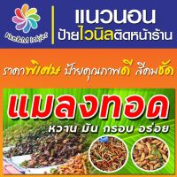 ป้ายไวนิล ร้านแมลงทอด