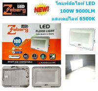 Zeberg โคมฟลัดไลท์แอลอีดี ECO IRON BODY WHITE 100 วัตต์