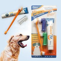 สินค้าพร้อมส่ง ชุดแปรงฟัน มาพร้อมยาสีฟัน สำหรับสัตว์เลี้ยง ชุดทำความสะอาดฟันน้องหมาน้องแมว ช่วยลดกลิ่นปาก สุขภาพฟันดี 70 กรัม