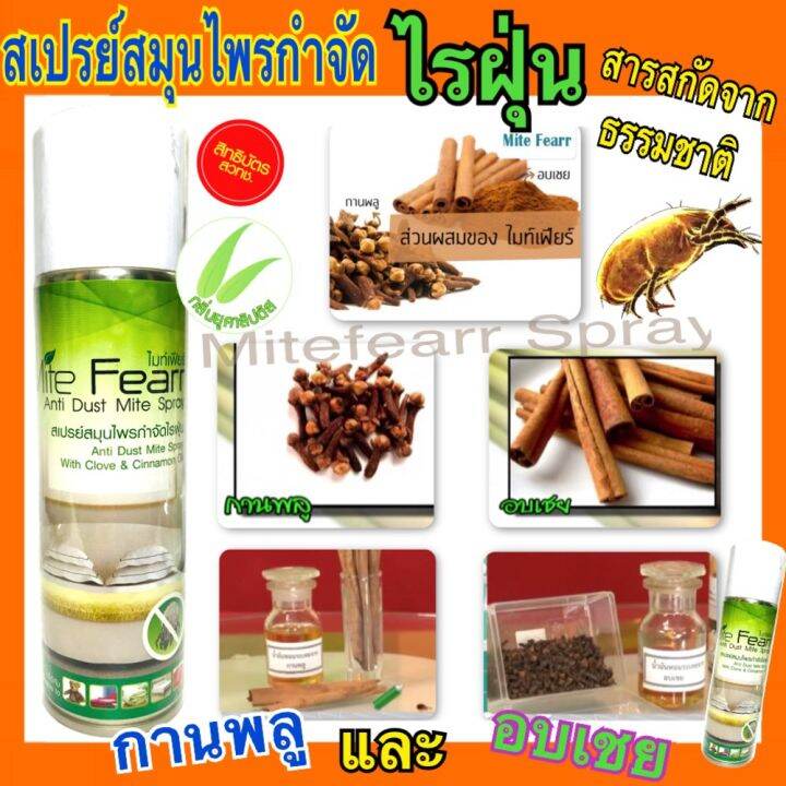 ส่งฟรี-flash-sale-ไรฝุ่น-สเปรย์กำจัดไรฝุ่น-mite-fearr-2-กระป๋อง-mitefearr-ช่วยเรื่อง-ภูมิแพ้ไรฝุ่น-สเปรย์ไรฝุ่น-ป้องกันไรฝุ่น-ฆ่าไรฝุ่่น-กลิ่นยูคาลิ