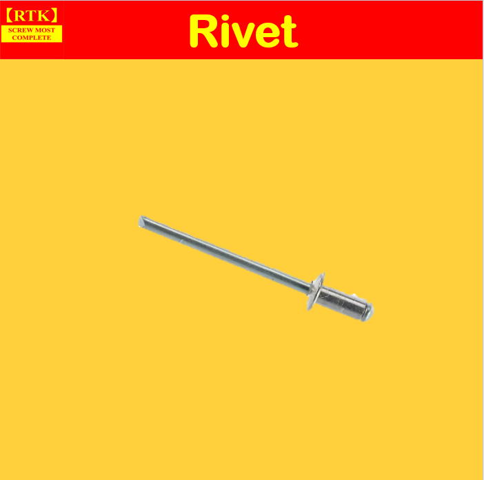 RTK Rivet 3mm x 6mm to 5mmx25mm | Lazada PH