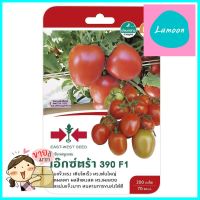 มะเขือเทศลูกใหญ่ F1 เอ็กซ์ตร้า390 ศรแดงPLUM TOMATO SEED EAST-WEST SEED XTRA 390 F1 **สอบถามเพิ่มเติมได้จ้า**