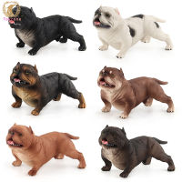 Toyzone Store Realistic Dog Model Ornaments Simulation Animal Action Figures Children Cognitive Toys For Gifts Collection