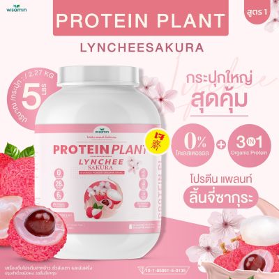 โปรตีนแพลนท์ สูตร 1 รสลิ้นจี่ ซากุระ (PROTEIN PLANT LYNCHEE SAKURA) โปรตีนจากพืช 3 ชนิด ข้าว ถั่วลันเตา มันฝรั่ง ออเเกรนิค (ปริมาณ 2.27kg. ขนาด 5 ปอนด์ 5LBS)