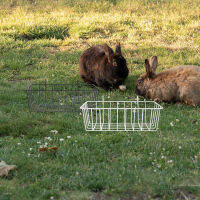 Rabbit Hay Metal Feeder Hanging Hay Feeder ความสะดวกสบายกระต่ายอุปกรณ์เสริมกระต่าย