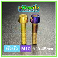 น็อตสแตนเลส หัวบัว ขนาดเกลียว m10 ยาว 45 mm.