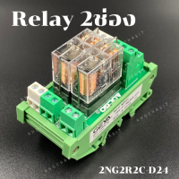 Relay 2NG2R2C-D24 / รีเลย์ 2 ช่อง อินเทอร์เฟซ 24V AC/DC