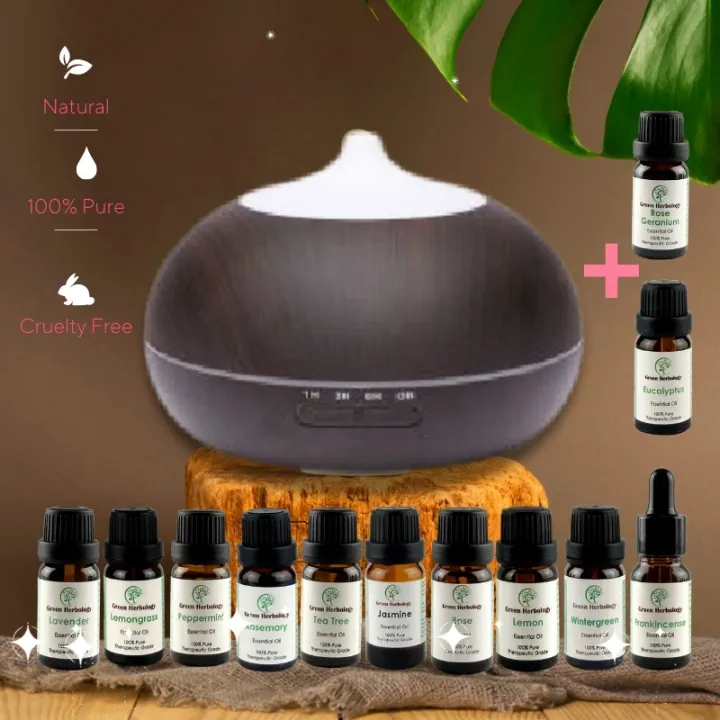 Aromatherapy Diffuser + Top 12 Essential Oil | Lazada