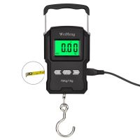 WeiHeng Portable Mini Digital Hand Held 75Kg 10g Fish Hook Hanging Electronic Weighting Luggage Scale LED Display Balance Luggage Scales