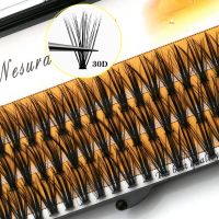 20D/30D Personal Eyelashes 60 Clusters Professional Eyelash Extensions Makeup Eyelash Extensions Natural Soft Eyelash Tool