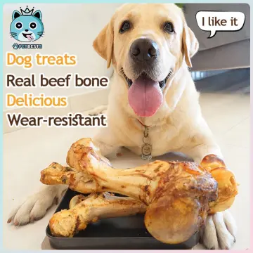 Buy dog hotsell bones online