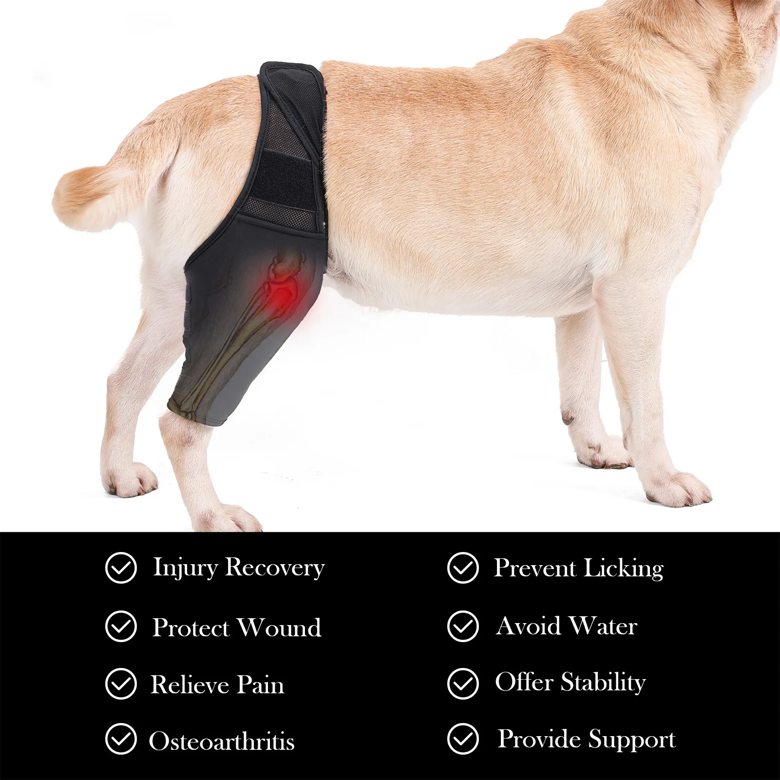 how do you tell if a dogs leg is sprained