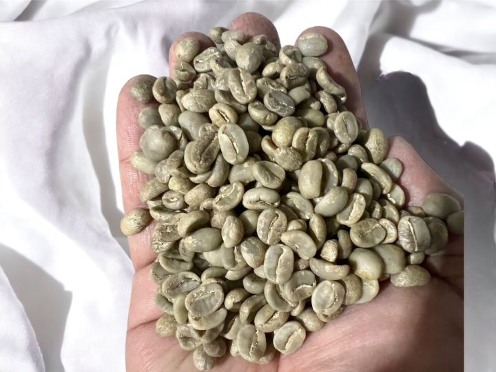 สารกาแฟโรบัสต้าเวียดนาม-robusta-vietnam-เกรด-premium-size-16-18