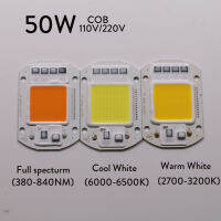 ชิป COB 60X40มม. LED AC 220V 240V สมาร์ทไอซี20W 30W 50W อุปกรณ์การจัดไฟพลังงานสูงสำหรับ DIY